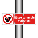 Nüsse sammeln verboten!