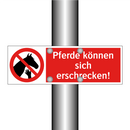 Pferde können sich erschrecken!