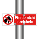 Pferde nicht streicheln