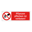Pflanzen pflücken ist verboten!
