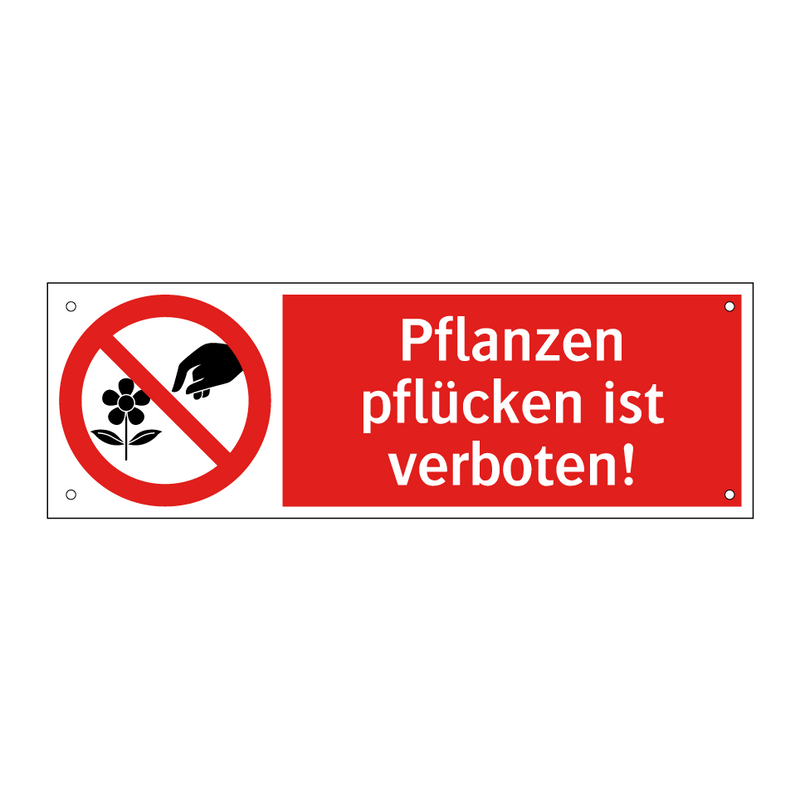 Pflanzen pflücken ist verboten!
