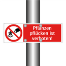 Pflanzen pflücken ist verboten!