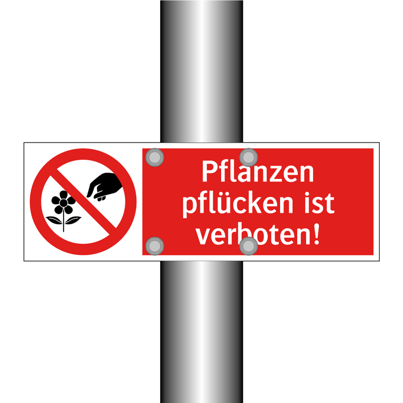 Pflanzen pflücken ist verboten!