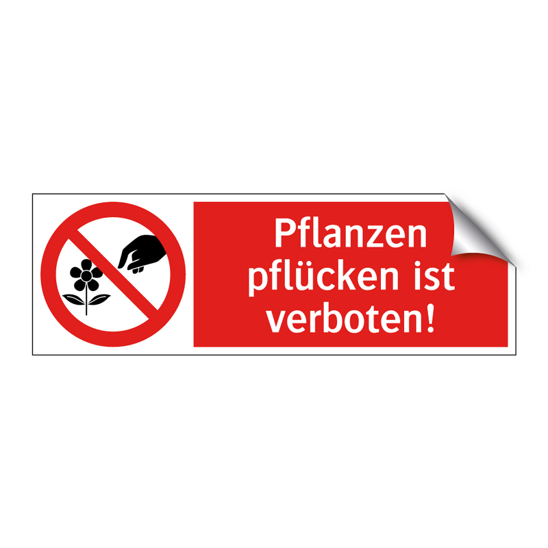 Pflanzen pflücken ist verboten!
