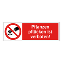 Pflanzen pflücken ist verboten!
