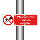 Pflücken von Blumen verboten