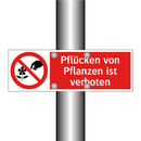 Pflücken von Pflanzen ist verboten