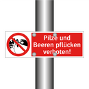 Pilze und Beeren pflücken verboten!