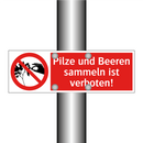 Pilze und Beeren sammeln ist verboten!