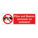 Pilze und Beeren sammeln ist verboten!