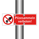 Pilzesammeln verboten!
