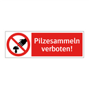 Pilzesammeln verboten!