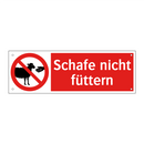 Schafe nicht füttern