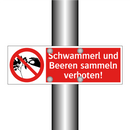 Schwammerl und Beeren sammeln verboten!