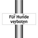 Für Hunde verboten