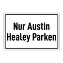 Nur Austin Healey Parken