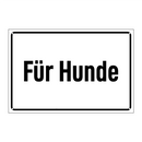 Für Hunde