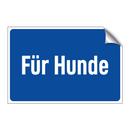 Für Hunde