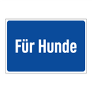 Für Hunde