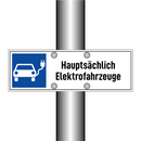 Hauptsächlich Elektrofahrzeuge