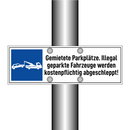 Gemietete Parkplätze. Illegal geparkte Fahrzeuge werden kostenpflichtig abgeschleppt!