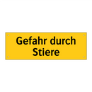 Gefahr durch Stiere