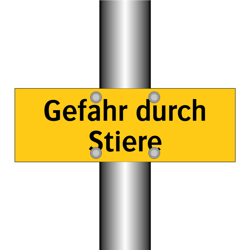 Gefahr durch Stiere
