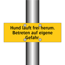 Hund läuft frei herum. Betreten auf eigene Gefahr.