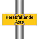 Herabfallende Äste