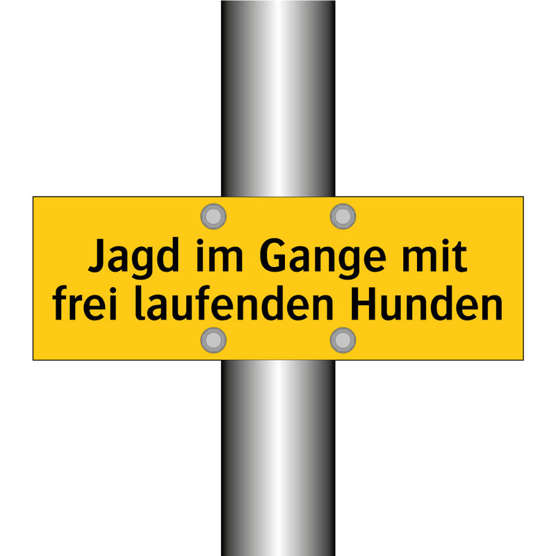 Jagd im Gange mit frei laufenden Hunden