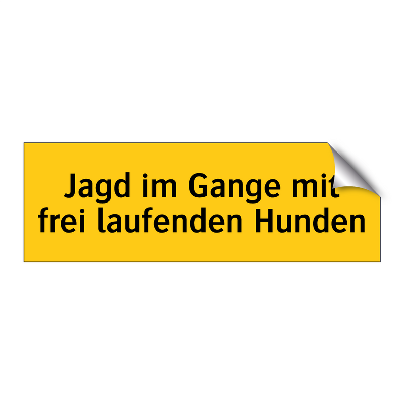Jagd im Gange mit frei laufenden Hunden