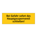 Bei Gefahr sofort das Hauptgassperrventil schließen!