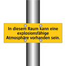 In diesem Raum kann eine explosionsfähige Atmosphäre vorhanden sein.