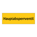 Hauptabsperrventil