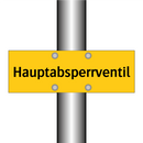 Hauptabsperrventil