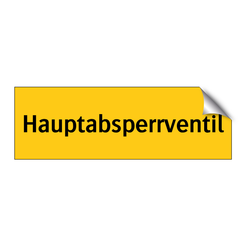 Hauptabsperrventil