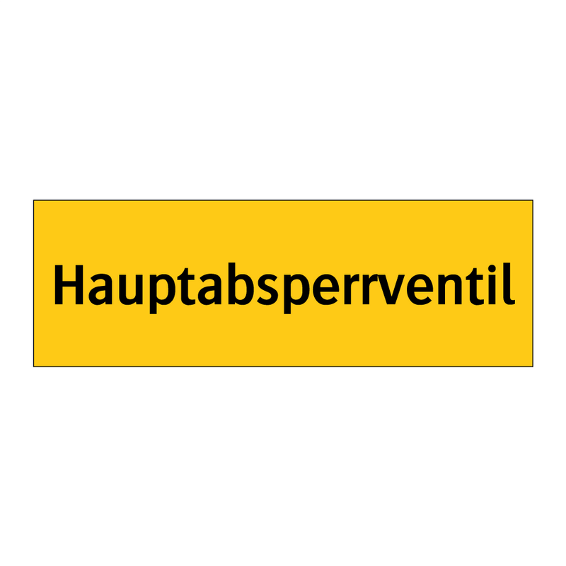 Hauptabsperrventil