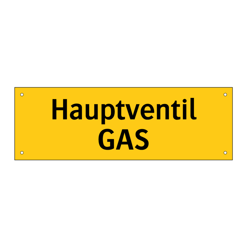 Hauptventil GAS