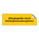 Allergiegefahr durch Eichenprozessionsspinner