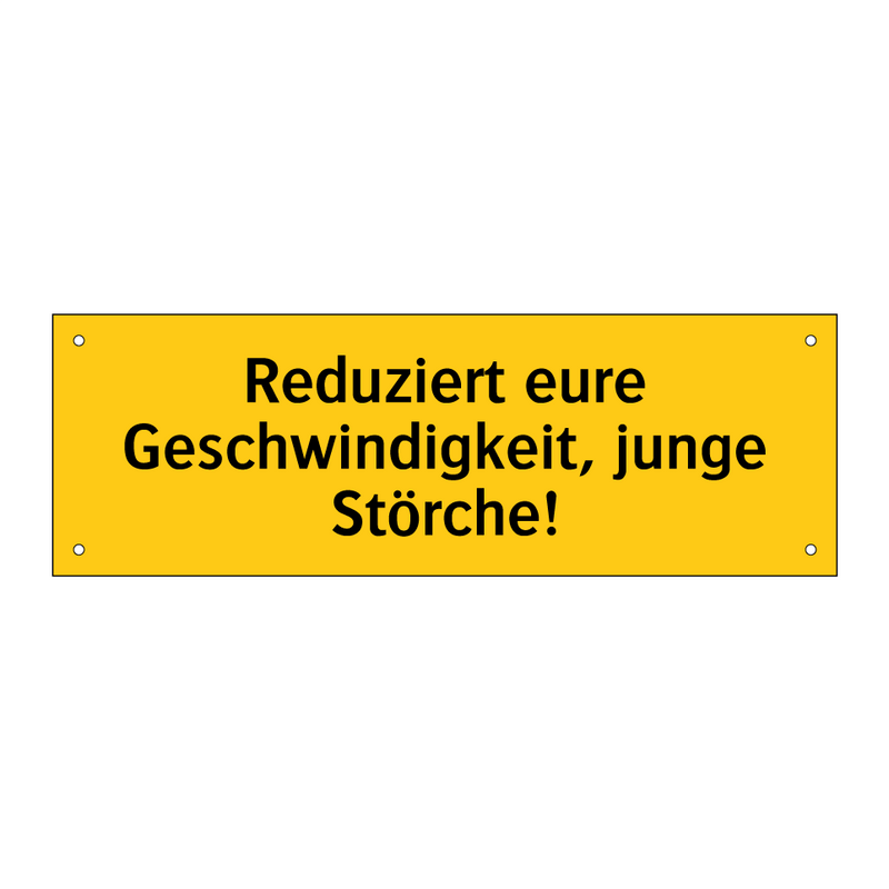 Reduziert eure Geschwindigkeit, junge Störche!