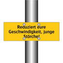 Reduziert eure Geschwindigkeit, junge Störche!