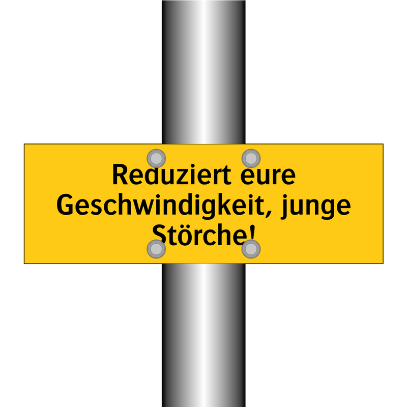 Reduziert eure Geschwindigkeit, junge Störche!