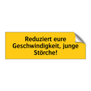 Reduziert eure Geschwindigkeit, junge Störche!