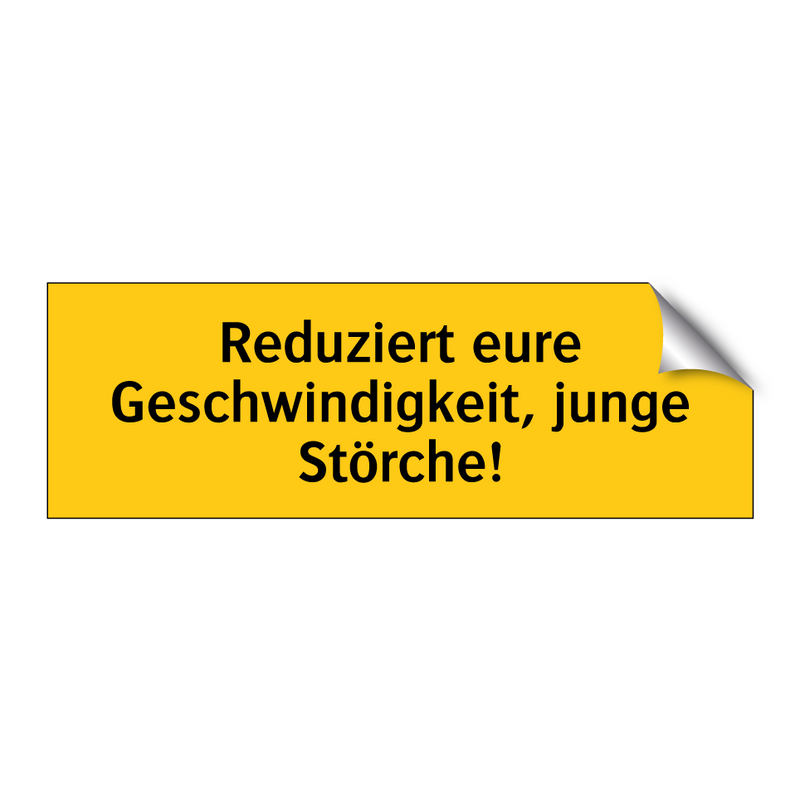 Reduziert eure Geschwindigkeit, junge Störche!
