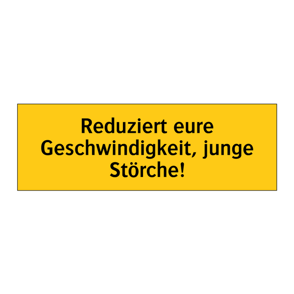 Reduziert eure Geschwindigkeit, junge Störche!
