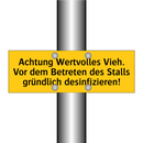 Achtung Wertvolles Vieh. Vor dem Betreten des Stalls gründlich desinfizieren!