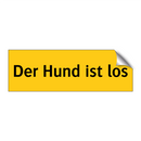 Der Hund ist los