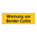 Warnung vor Border Collie