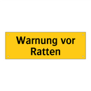 Warnung vor Ratten