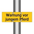 Warnung vor jungem Pferd